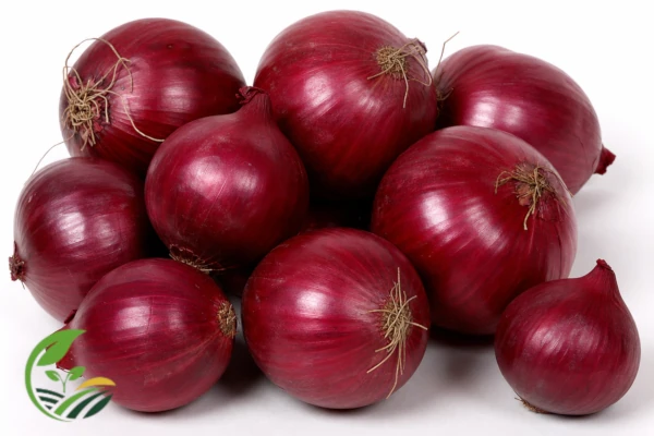 Fresh Egyptian onions