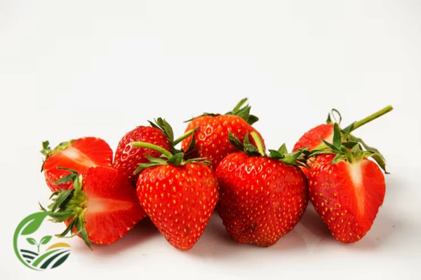 Egyptian Strawberries